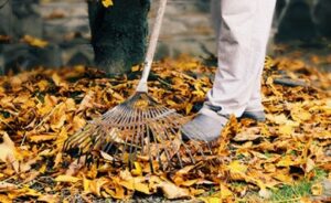 yard-trimmings-and-landscape-materials